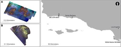 An Automated Method for Mapping Giant Kelp Canopy Dynamics from UAV